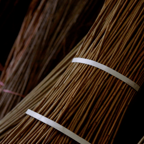 Willow Farming – How to Grow Your Own Materials for Basketry.