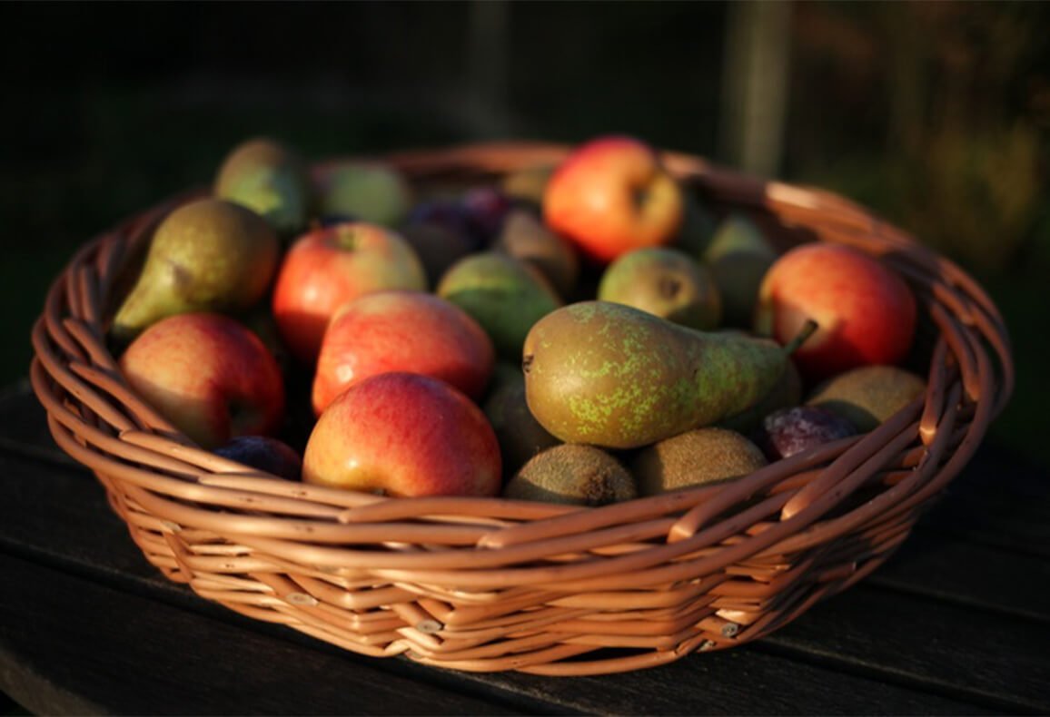 basket weaving course - the fruit basket