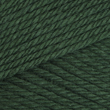 Beginner crochet kit green