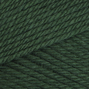 Beginner crochet kit green