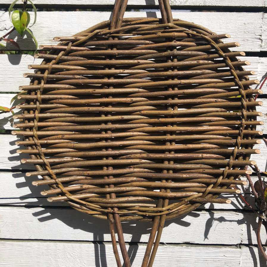 Getting Started with Willow - Course and Kit