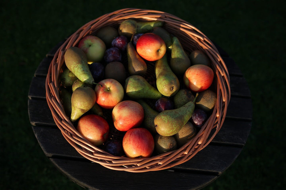 basket weaving - the fruit basket