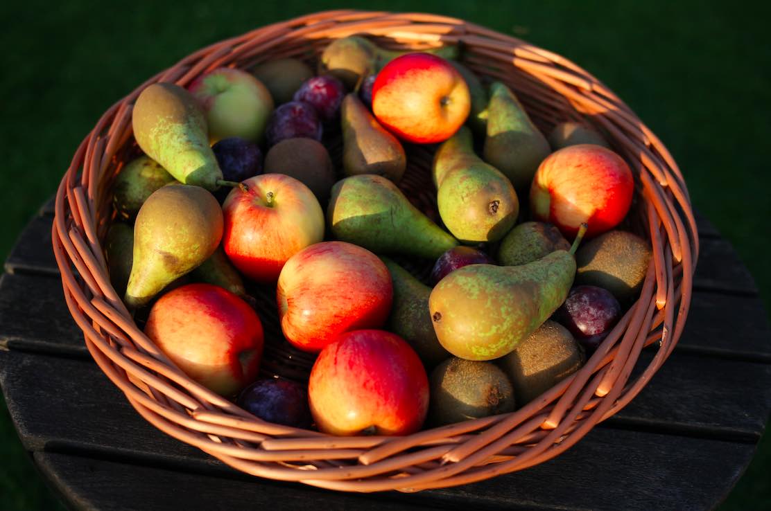 basket weaving kit- fruit basket