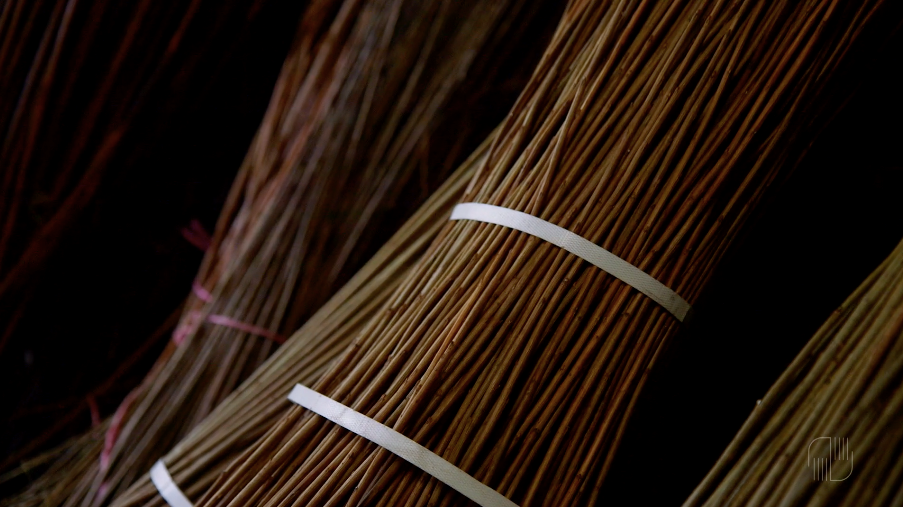 Willow Farming – How to Grow Your Own Materials for Basketry.