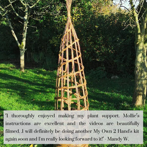 The Willow Plant Support - Course and Kit