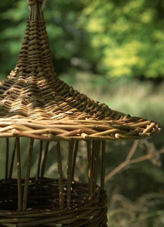 Illustration of Bird Feeder Kits For Homes