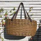 Brown Willow