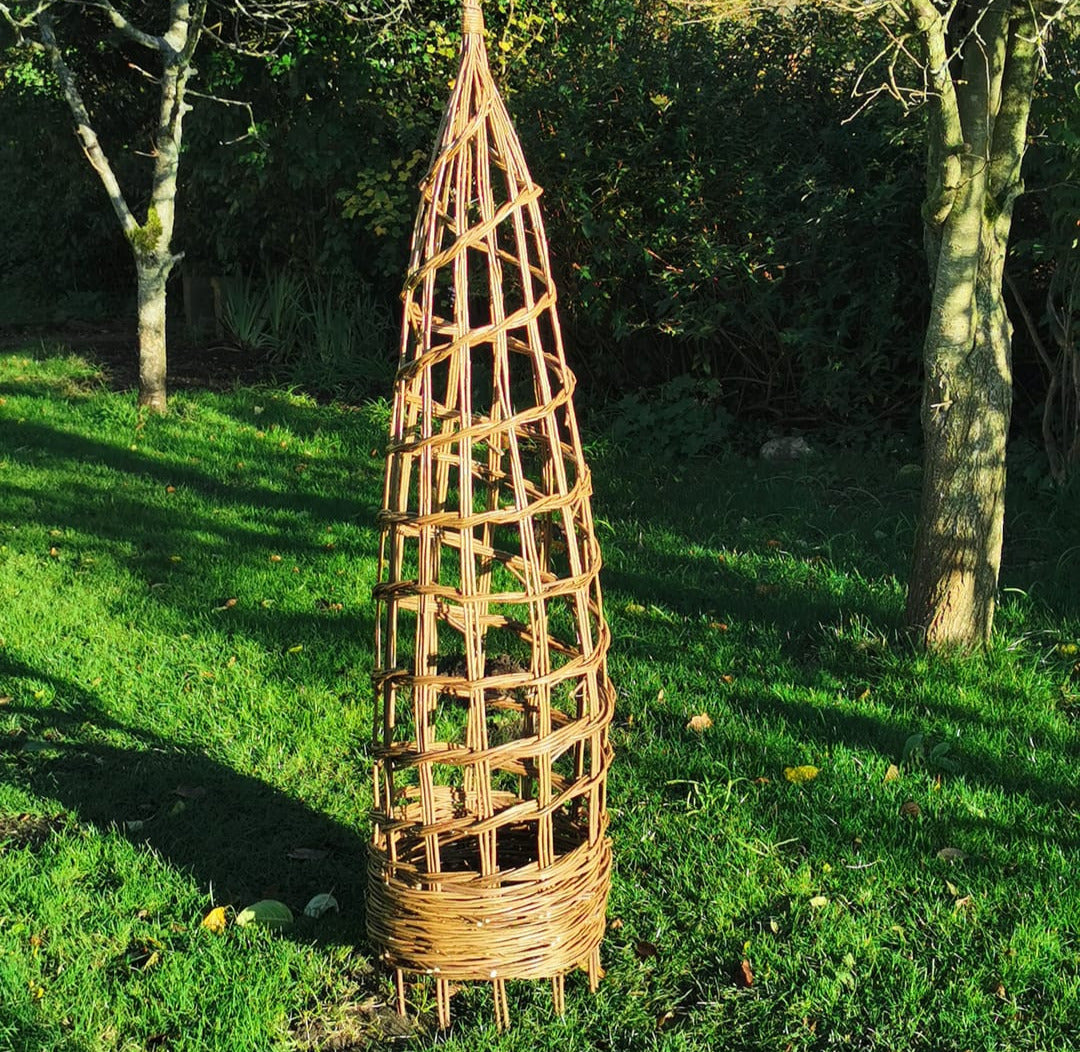 The Willow Plant Support - Online Course and Kit