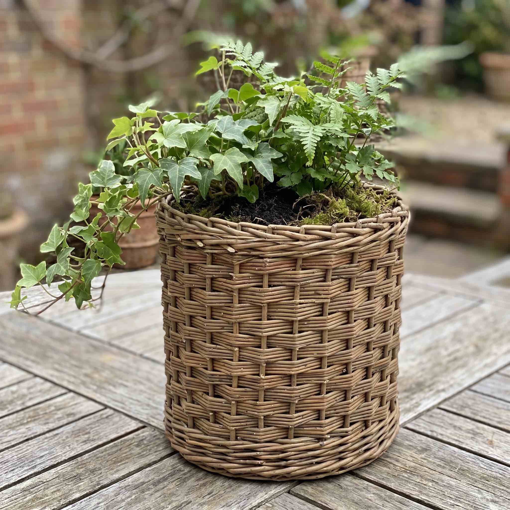 Willow Weaving Kits & Courses | My Own 2 Hands