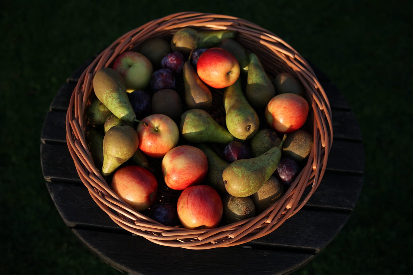 basket weaving - the fruit basket